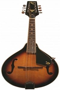Mandolin - Mc Brides - Gold