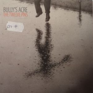 Bullys Acre - The Twelve Pins