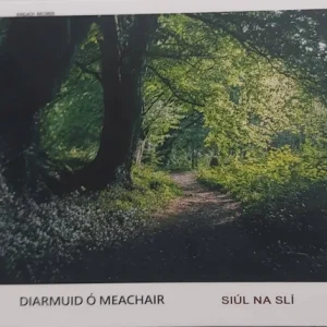 Diarmuid O Meachair - Siul Na Sli