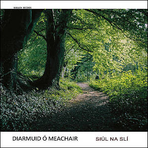 Diarmuid O Meachair - Siul Na Sli