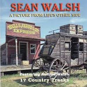 S Walsh- A Picture From Lifes Other Side